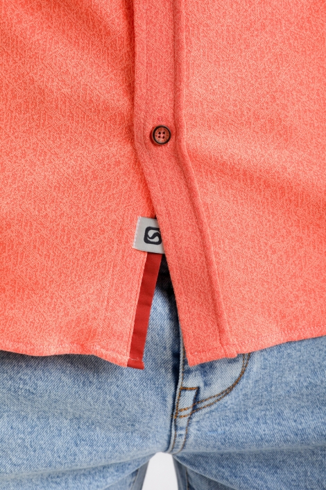 Gabbiano 335532